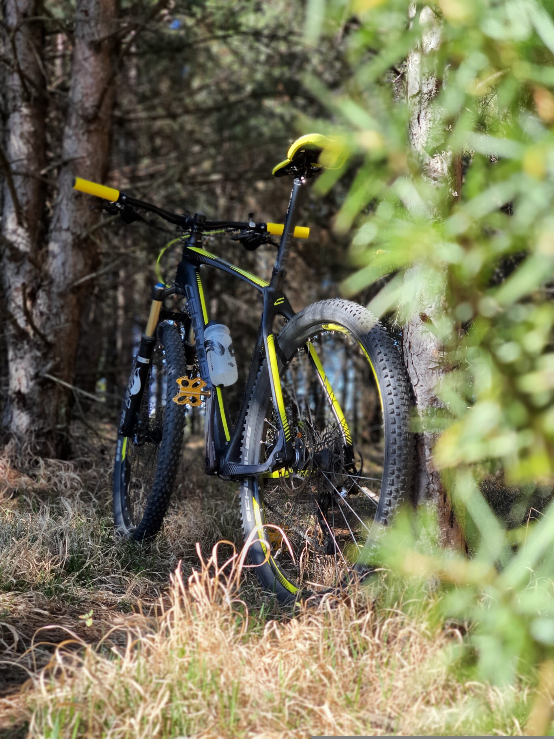 mtb 12